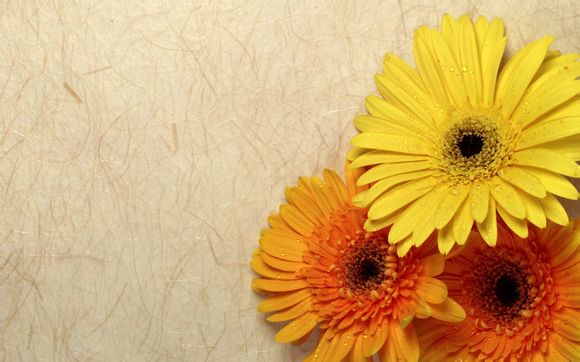 宜良县汤池镇有哪些村