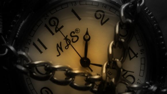 宠物旅游团的价格一般是多少