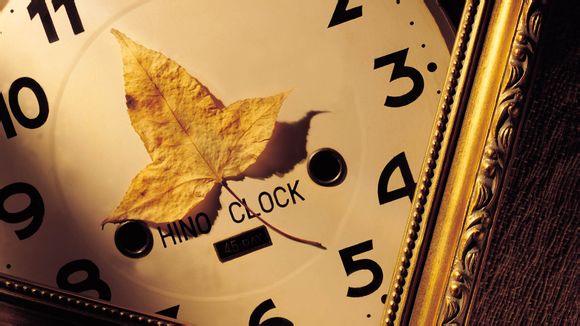 将军山的旅游景点有哪些